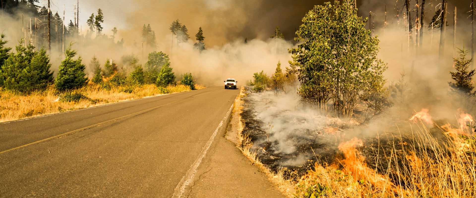 What States Have the Most Wildfires? Secure Your Home's Air Quality With Duct Sealing Service